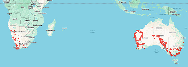 collecting locality world map for 'Nordenstam, B.'