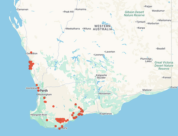 collecting locality map for 'Wills, R.T.'